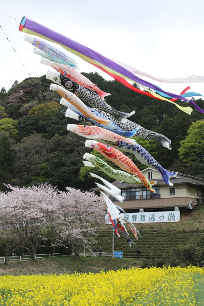 写真：入選作品1