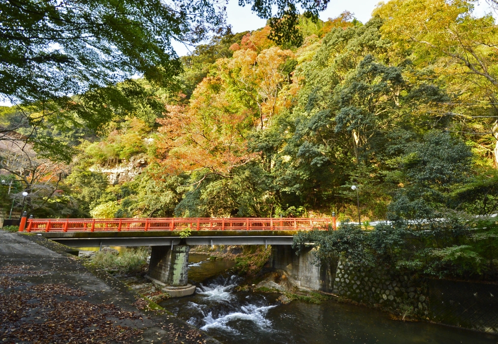 写真：優秀賞作品2