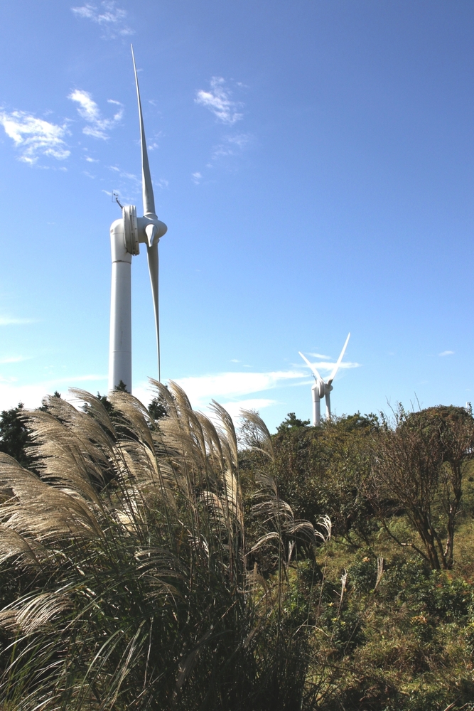 写真：佳作作品1