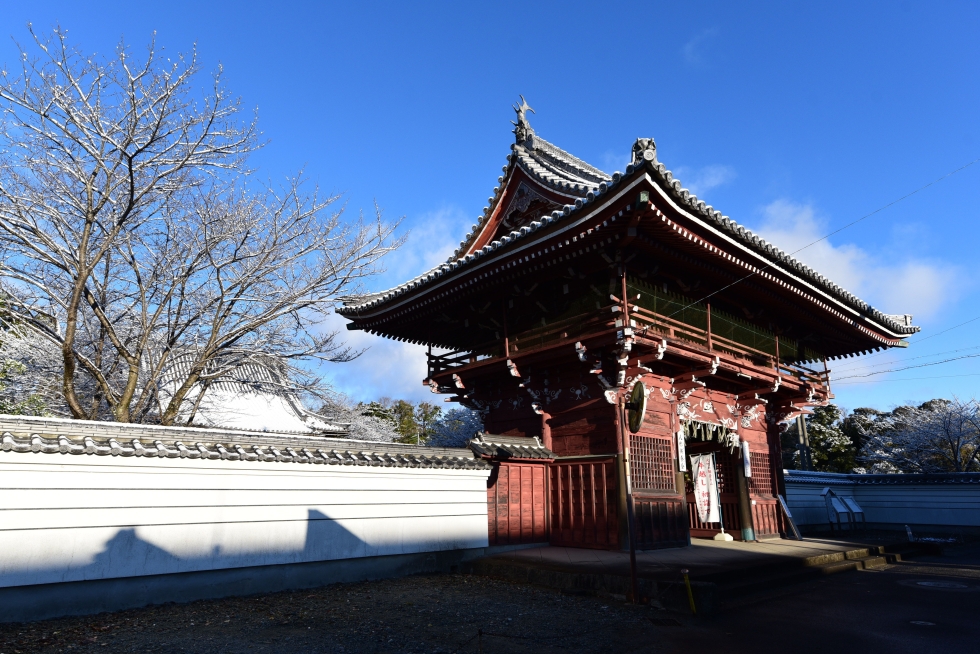 写真：佳作作品4