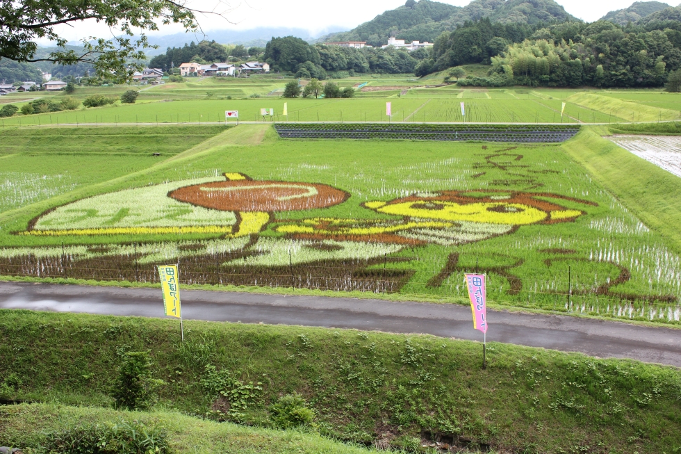 写真：入選作品1