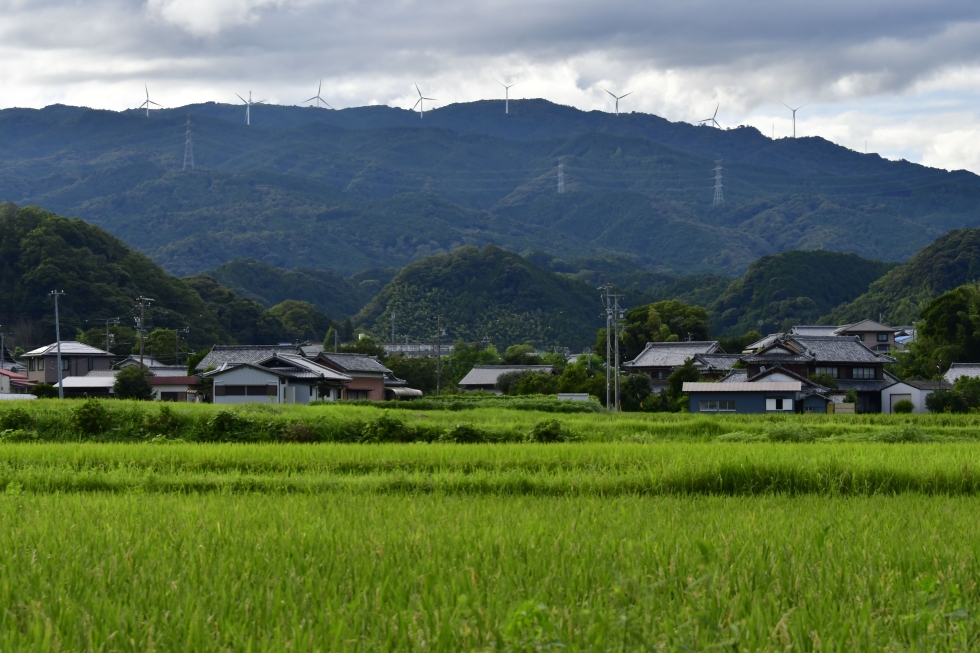 写真：入選作品2