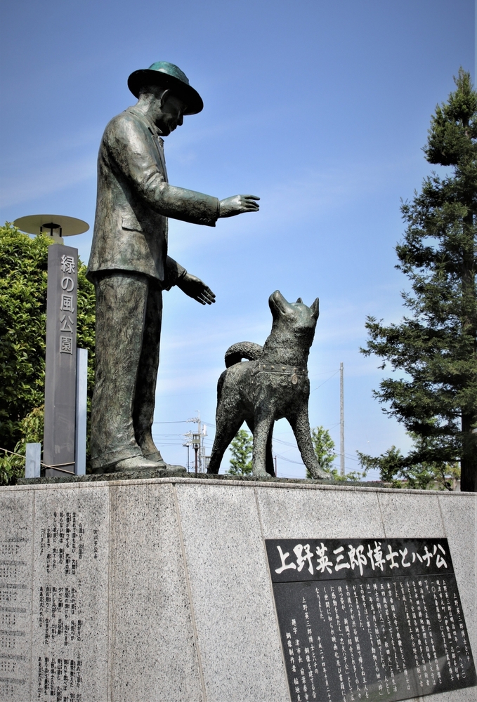 写真：優秀賞作品1