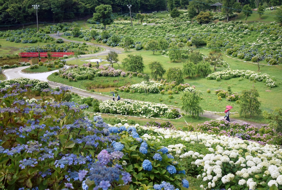 写真：佳作作品6