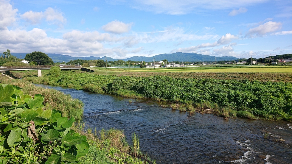 写真：佳作作品7
