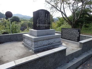 写真：南家城川口井水2