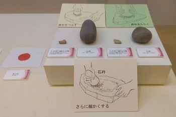 写真:展示資料(朱の道を探る)