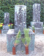 玉保院納所道場の墓の写真