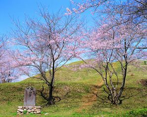 写真：明合古墳