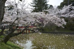 写真：津偕楽公園