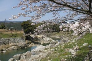 写真：家城ライン