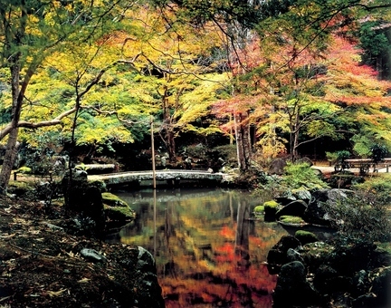 写真：北畠氏館跡庭園