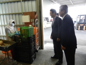 写真：【市政懇談会】ベジマルファクトリー見学