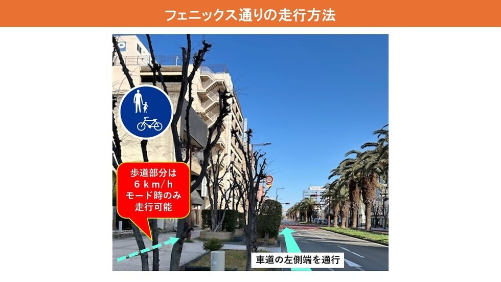 写真：フェニックス通りの走行方法