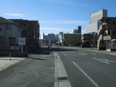 写真：令和6年撮影1