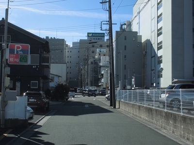 写真：令和6年撮影10