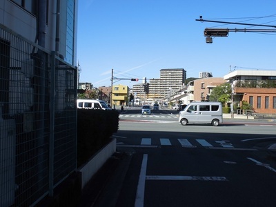 写真：令和6年撮影13