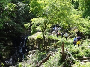 写真：森林セラピー　日神西浦コース