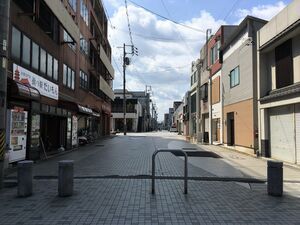 写真:フィールド調査の様子6