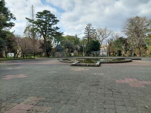 写真:フィールド調査の様子7