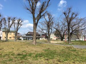 写真:フィールド調査の様子9