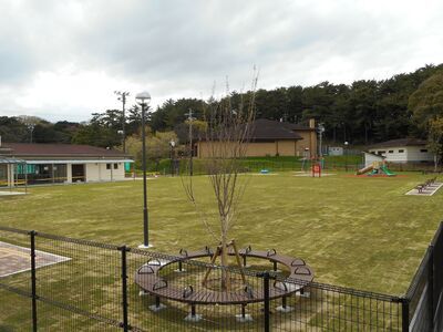 写真：公園全景