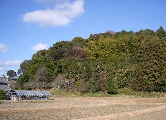 写真：家所城跡（いえどころじょうし）