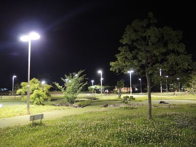 写真:パターゴルフ場ナイター2