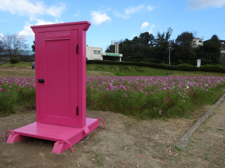 写真：コスモス45