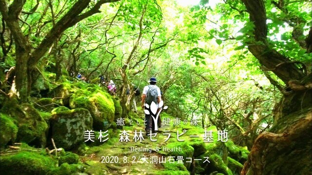 動画サムネイル:津市森林セラピー基地 ウエルネスウォーキング 大洞山石畳コース 2020年8月2日