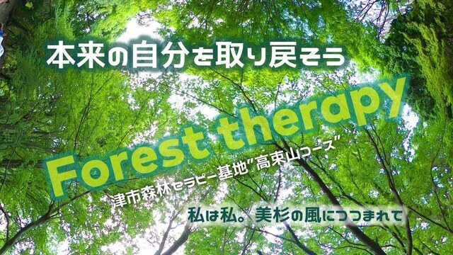 動画サムネイル:津市森林セラピー基地 高束山コース(2020年7月19日)