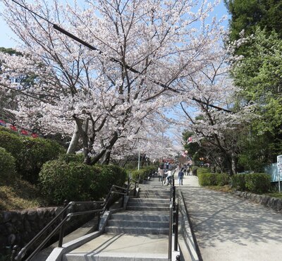 写真：津偕楽公園