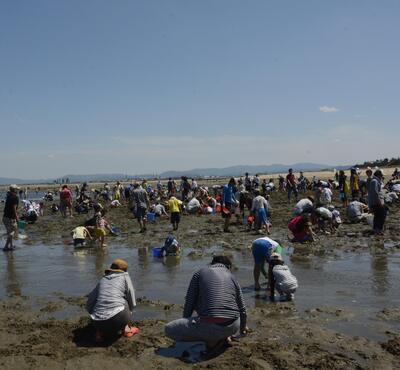 写真:香良洲海岸