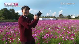 動画サムネイル：津市PR動画「ハッシュタグ＃つ　ふがまるちゃんと巡る津の写真旅　秋編」