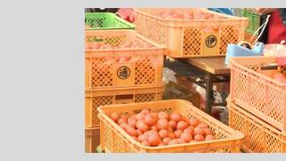 Video Thumbnail: Tsu City PV: A great place to live, too