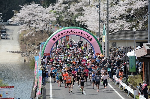 写真：10kmマラソンのスタート