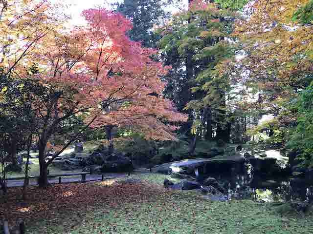 写真：北畠氏館跡庭園の紅葉