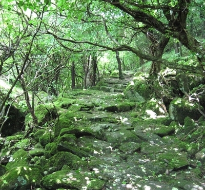 写真：森林セラピー基地®