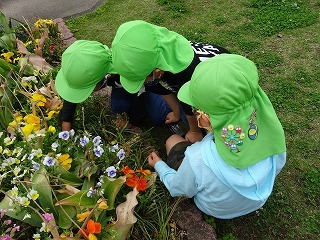 写真：園庭で虫探しをする様子