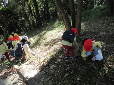 写真：ドングリ拾いの様子