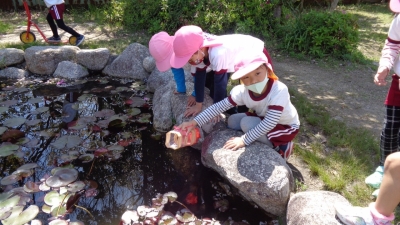 写真：ビオトープで生き物を捕まえている様子