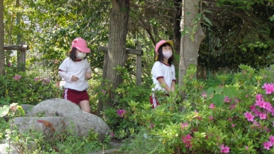 写真：探検している様子