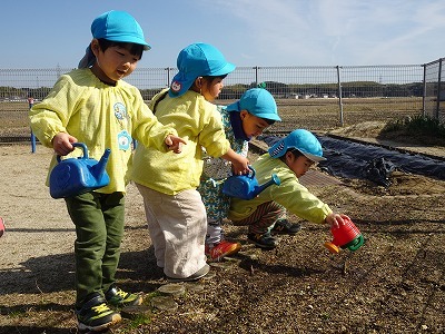 写真：チューリップの芽を見つけた子どもたち