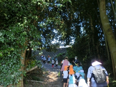 写真：お散歩の様子