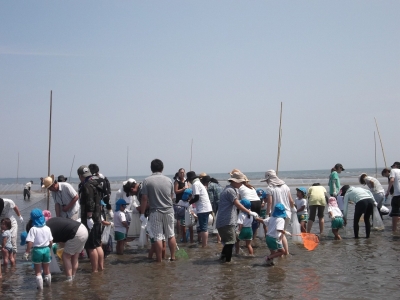 写真：海浜学習の様子