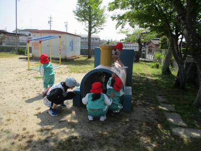 写真：四季を体感できる園庭