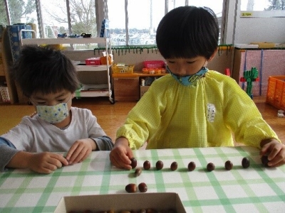 写真:ドングリで遊ぶ様子