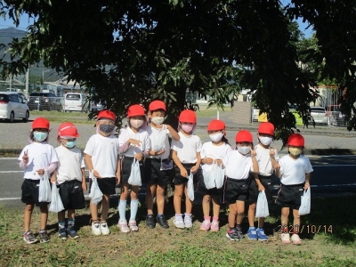 写真:ドングリ拾いの様子