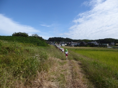 写真：園外保育の様子