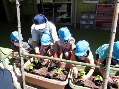 写真：野菜や花の苗植えの様子
